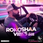 DJ Rokoshaa RokoshaA Vibes 2